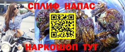 тгк Балашиха