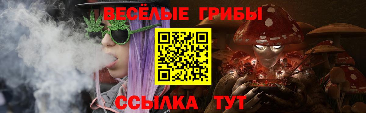 Псилоцибиновые грибы MAGIC MUSHROOMS  Вход с VPN  Гуково 